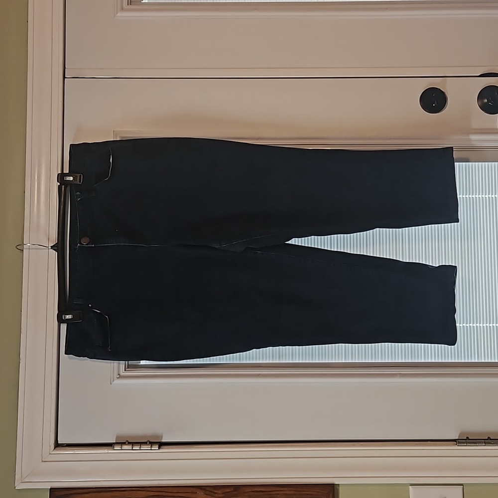 Lane Bryant super stretchy dark was plus size jeans